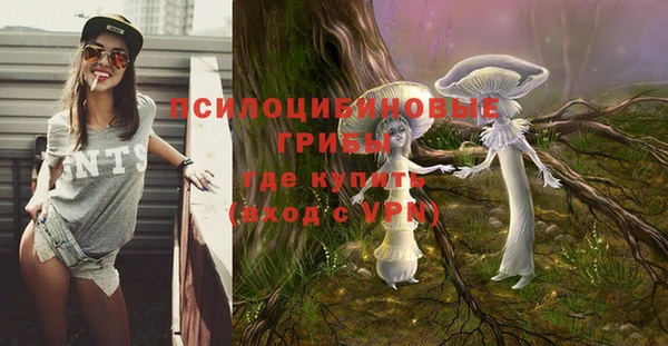 амф Алексеевка