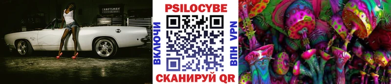 ОМГ ОМГ вход  цена наркотик  Киселёвск  Псилоцибиновые грибы мухоморы 